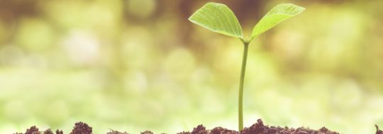 GetInsured Fast Protection